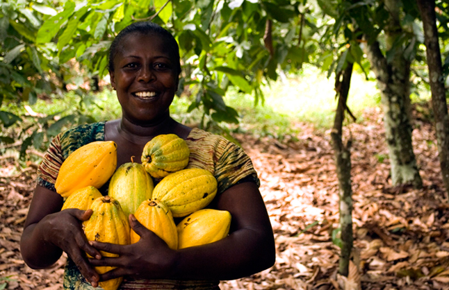 Territorios campesinos y soberanía alimentaria