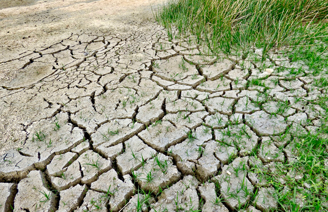 Problemas socio-ambientales y cambio climático.