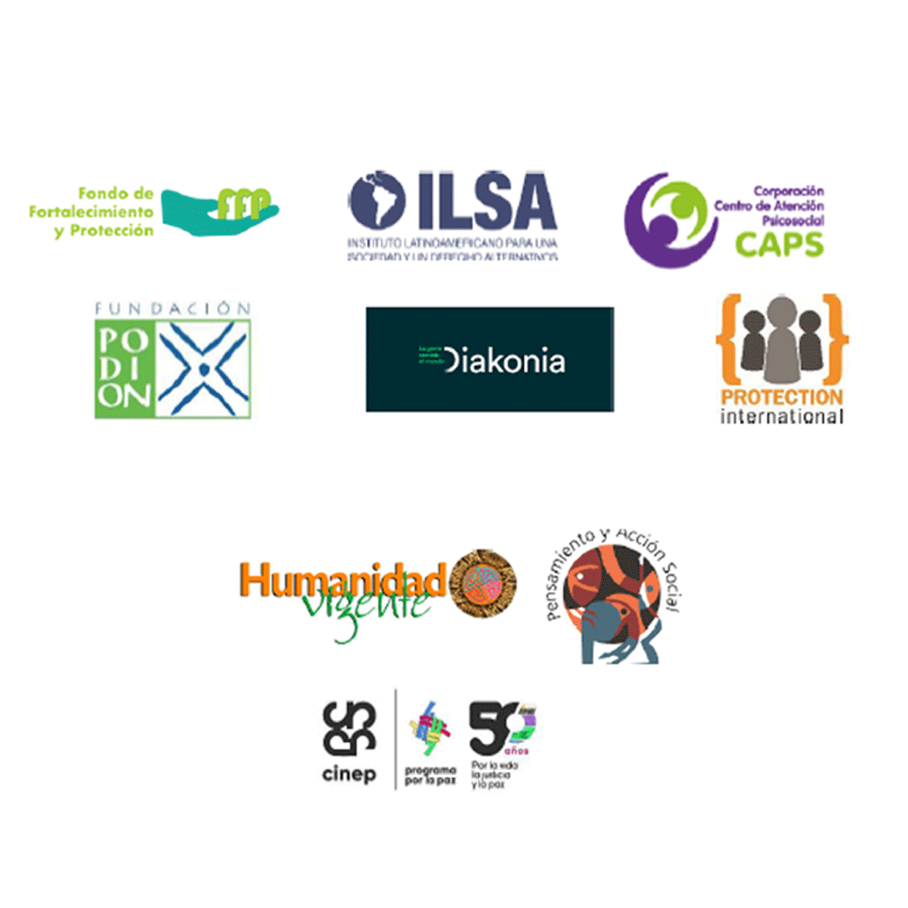 Comunicado ONGs Grupo de Protección