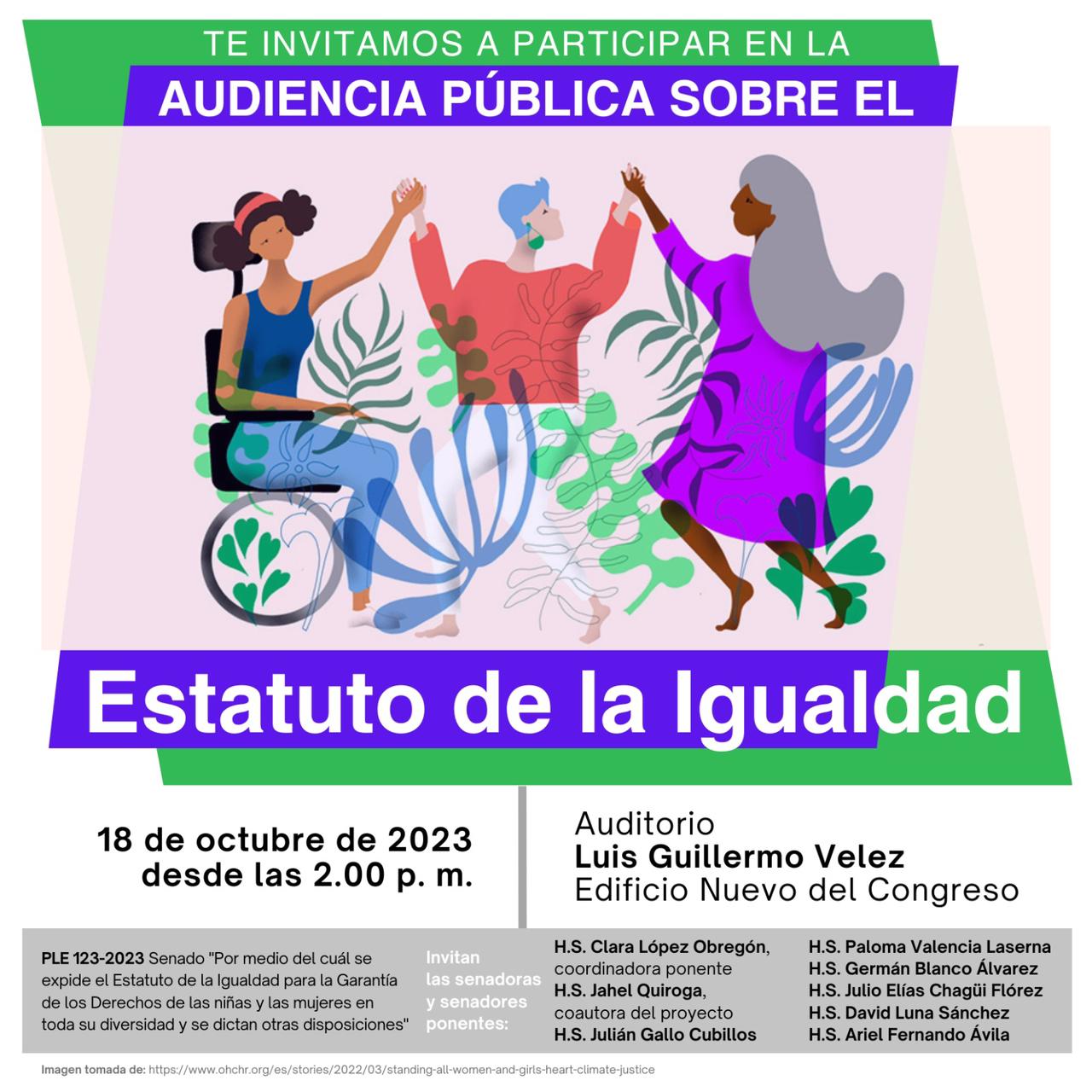 Audiencia púbica sobre el Estatuto de la Igualdad